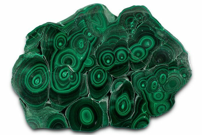 Flowery Polished Malachite Slab - DR Congo #350835